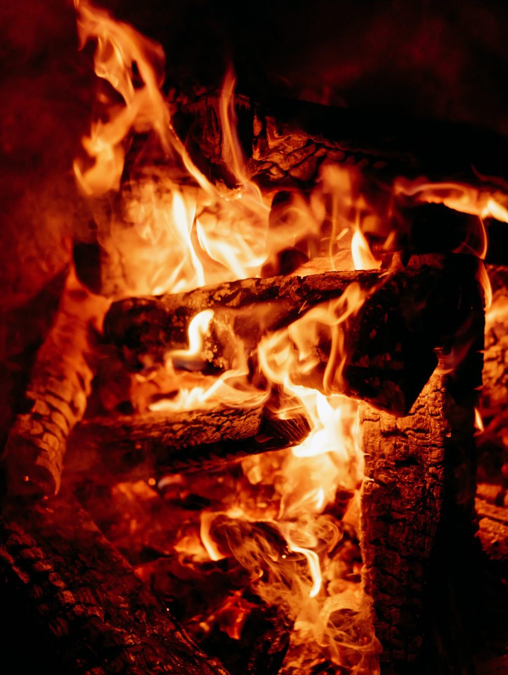 Les différentes caractéristiques des bois de chauffage